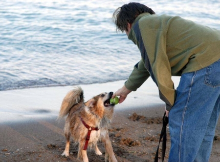 גלגול נשמות
